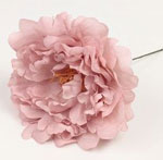 Peony Feria. Flamenco flowers. Pale pink. 11cm 3.640€ #504190086RSPL